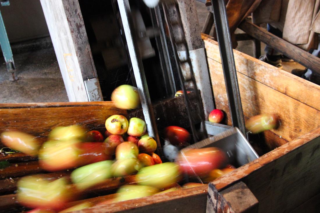 High-stem orchards Gallery