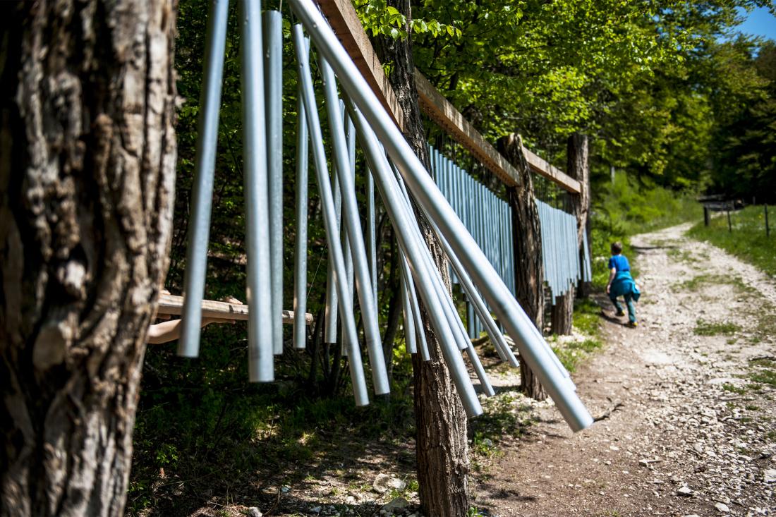 L'art de la nature Gallery