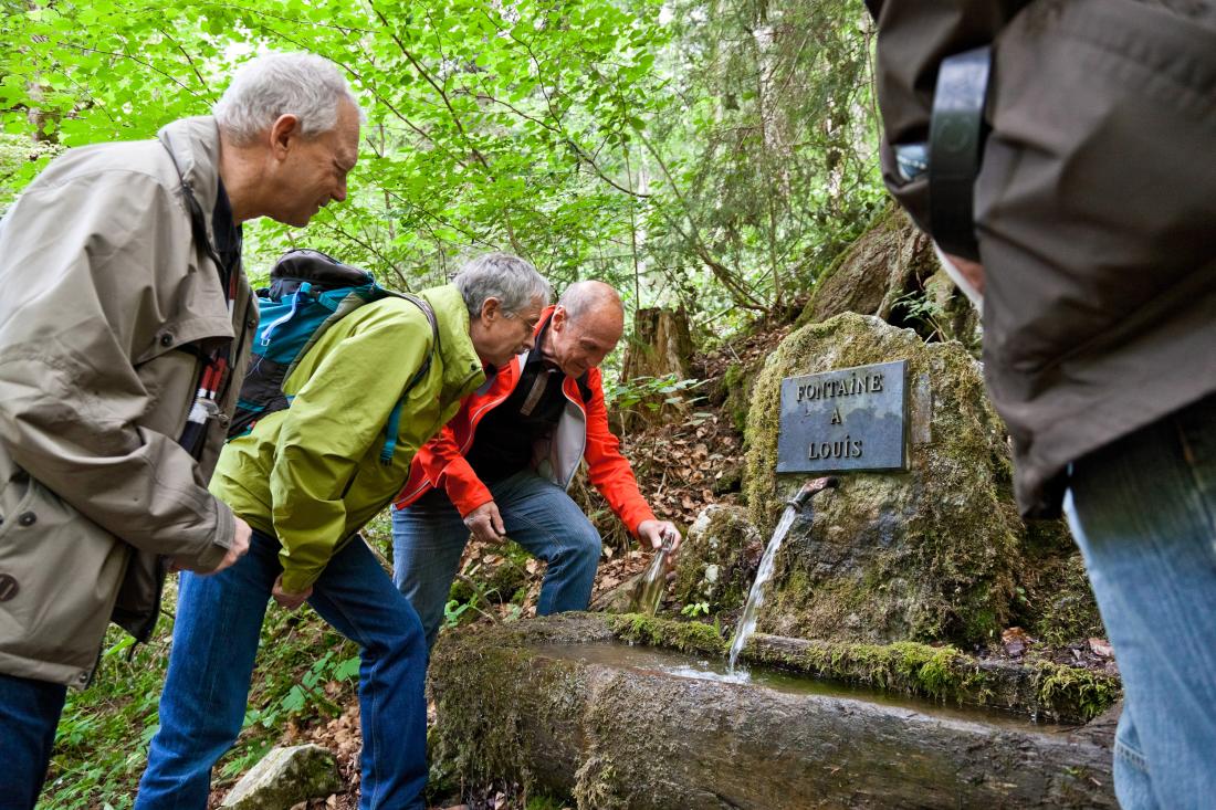 Im Tal der Grünen Fee Gallery